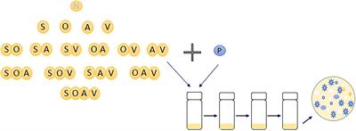 Interspecific Niche Competition Increases Morphological Diversity in Multi-Species Microbial Communities